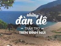 TOUR DU LỊCH NINH CHỮ - VỊNH VĨNH HY - LÀNG GỐM BÀU TRÚC