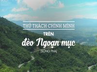 TOUR DU LỊCH NINH CHỮ - ĐÀ LẠT PHỐ NÚI