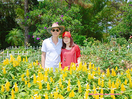 CTY ĐÔNG TRIỀU - QUẢNG NINH - THAM QUAN ĐÀ LẠT